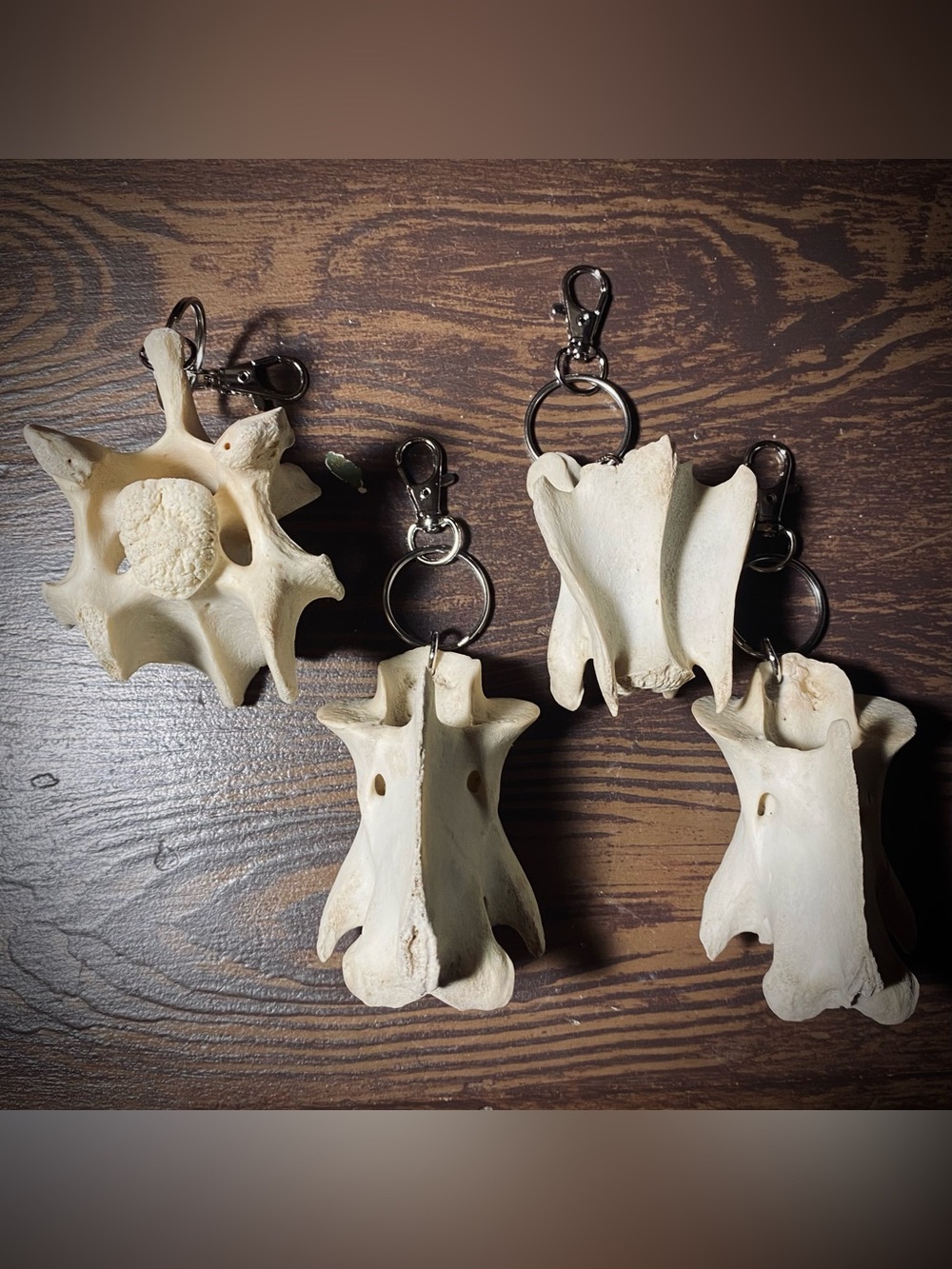 Deer Vertebrae Keychain
